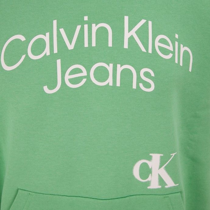 Hoodie Calvin Klein Green