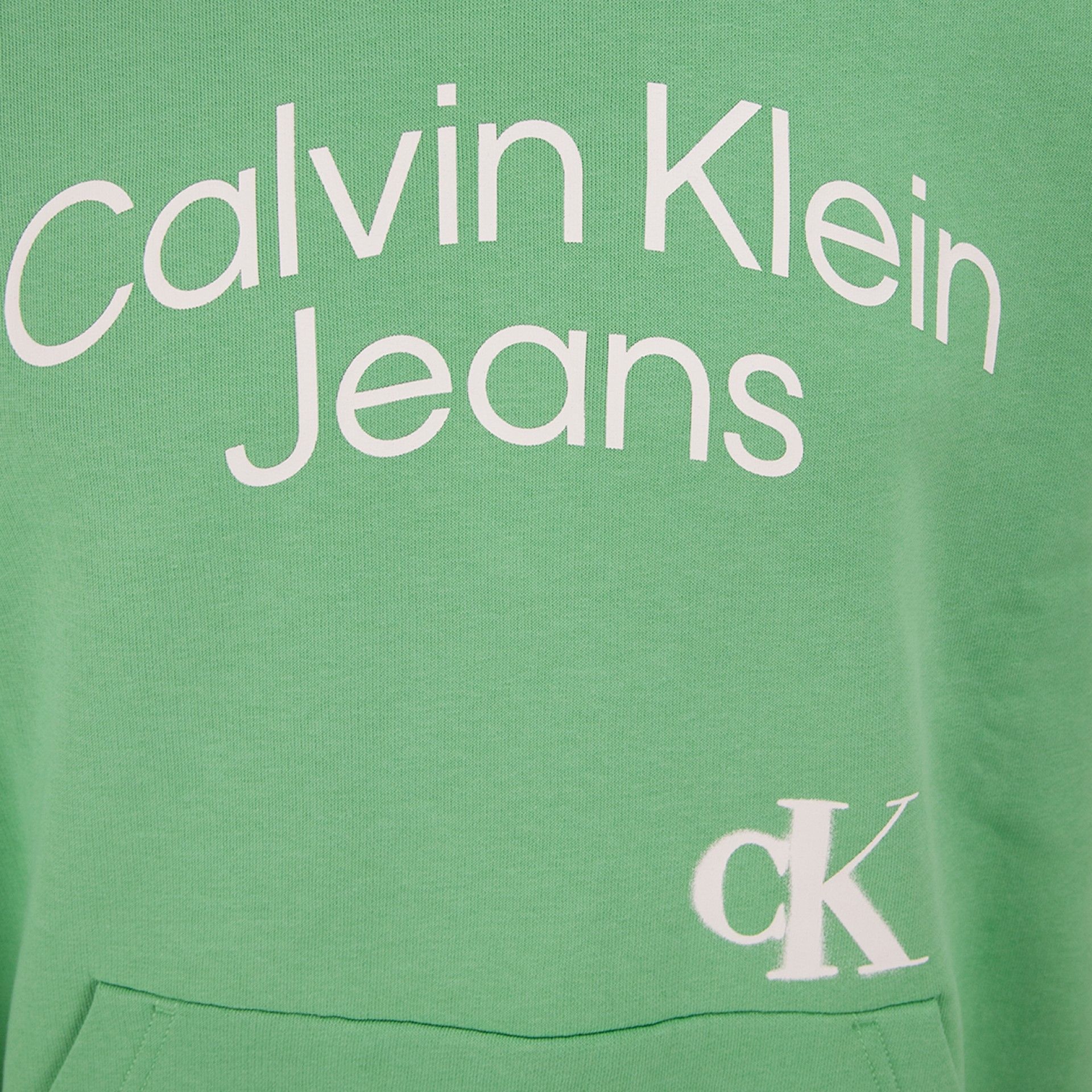 Hoodie Calvin Klein Green