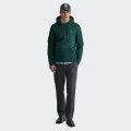 Hoodie Gant