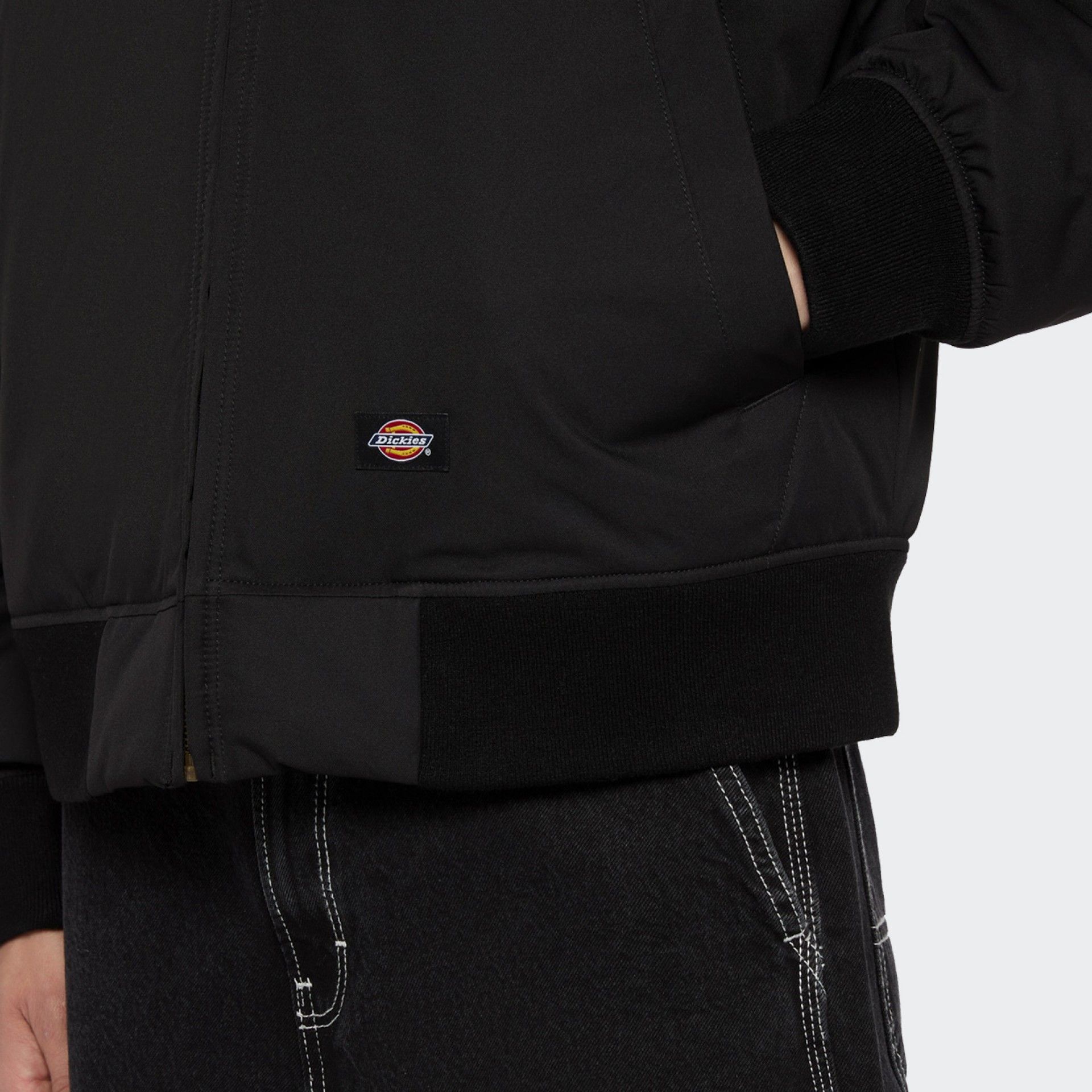 Blouson aviateur Dickies Plains