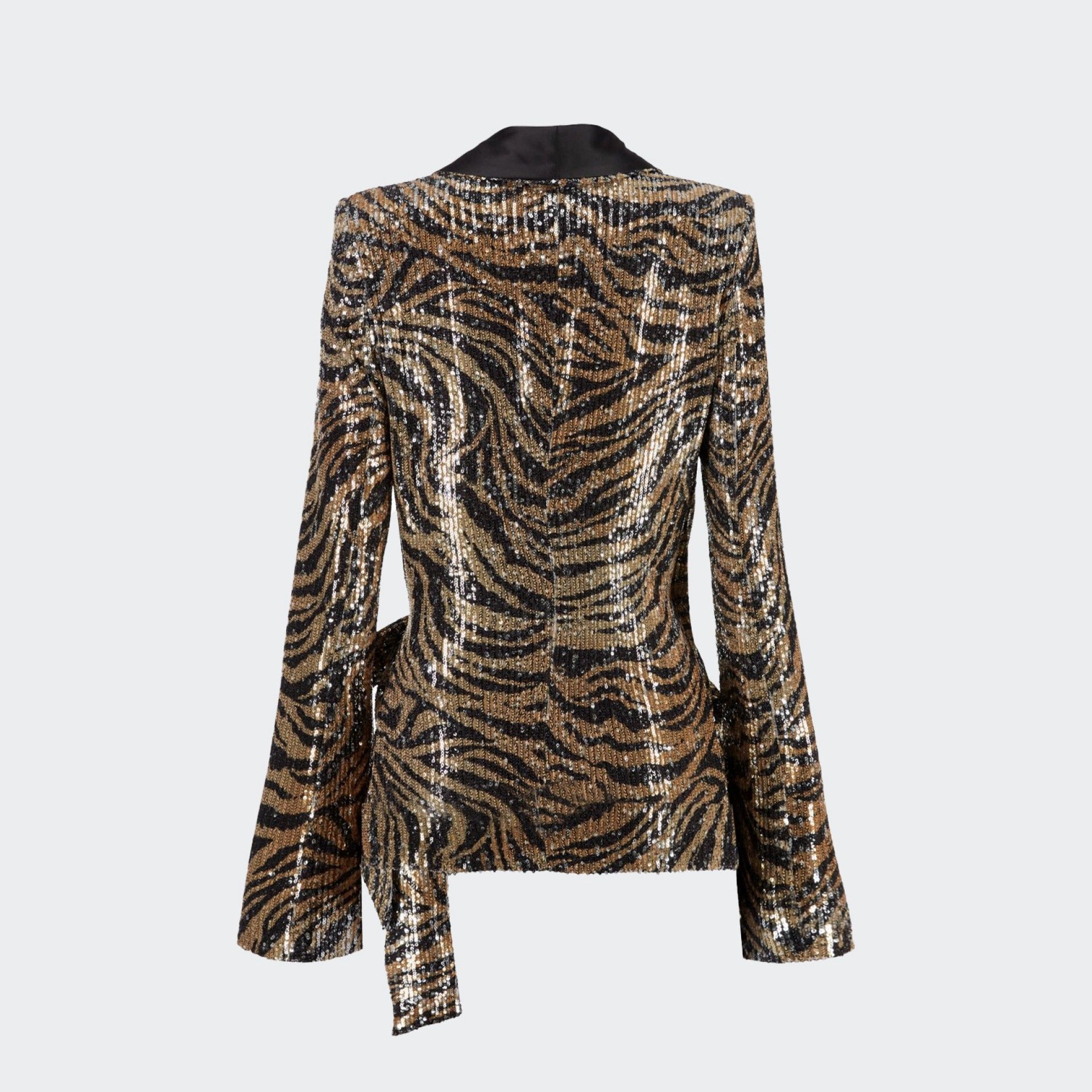Blazer Aniye By