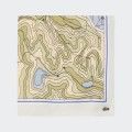 Chantaco Lacoste print scarf