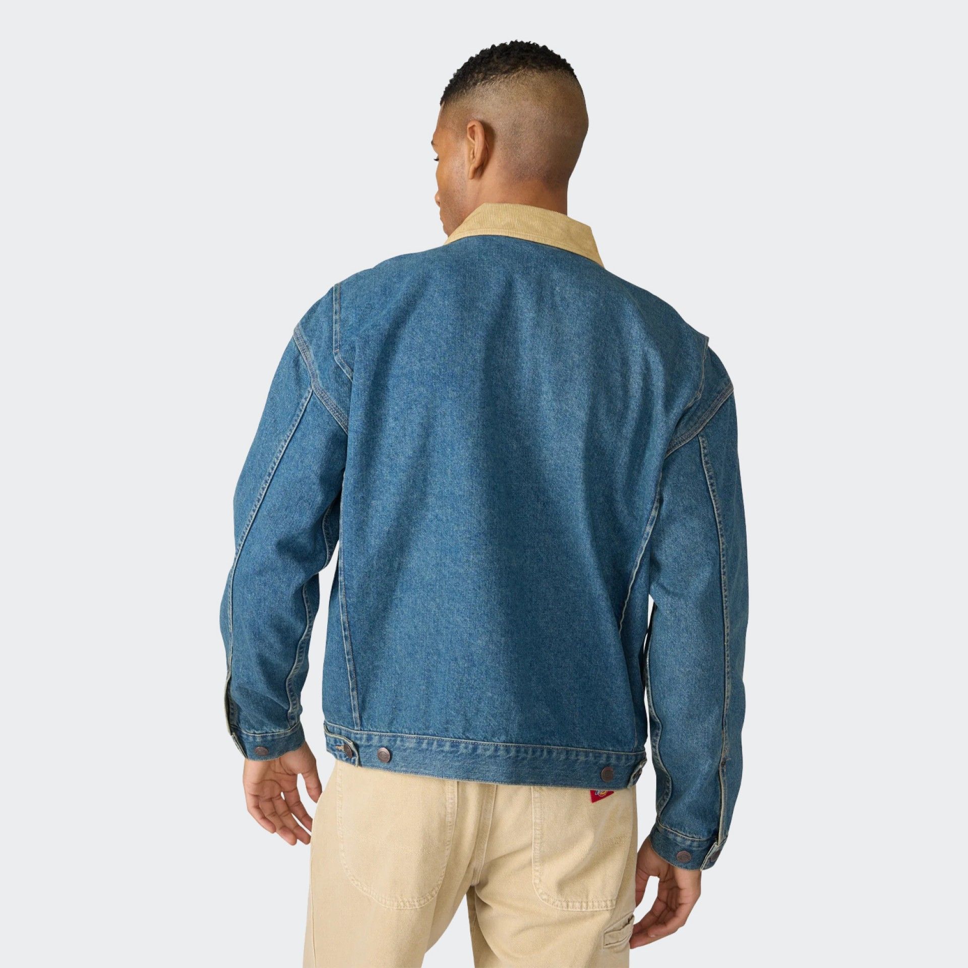 Veste Dickies Painter