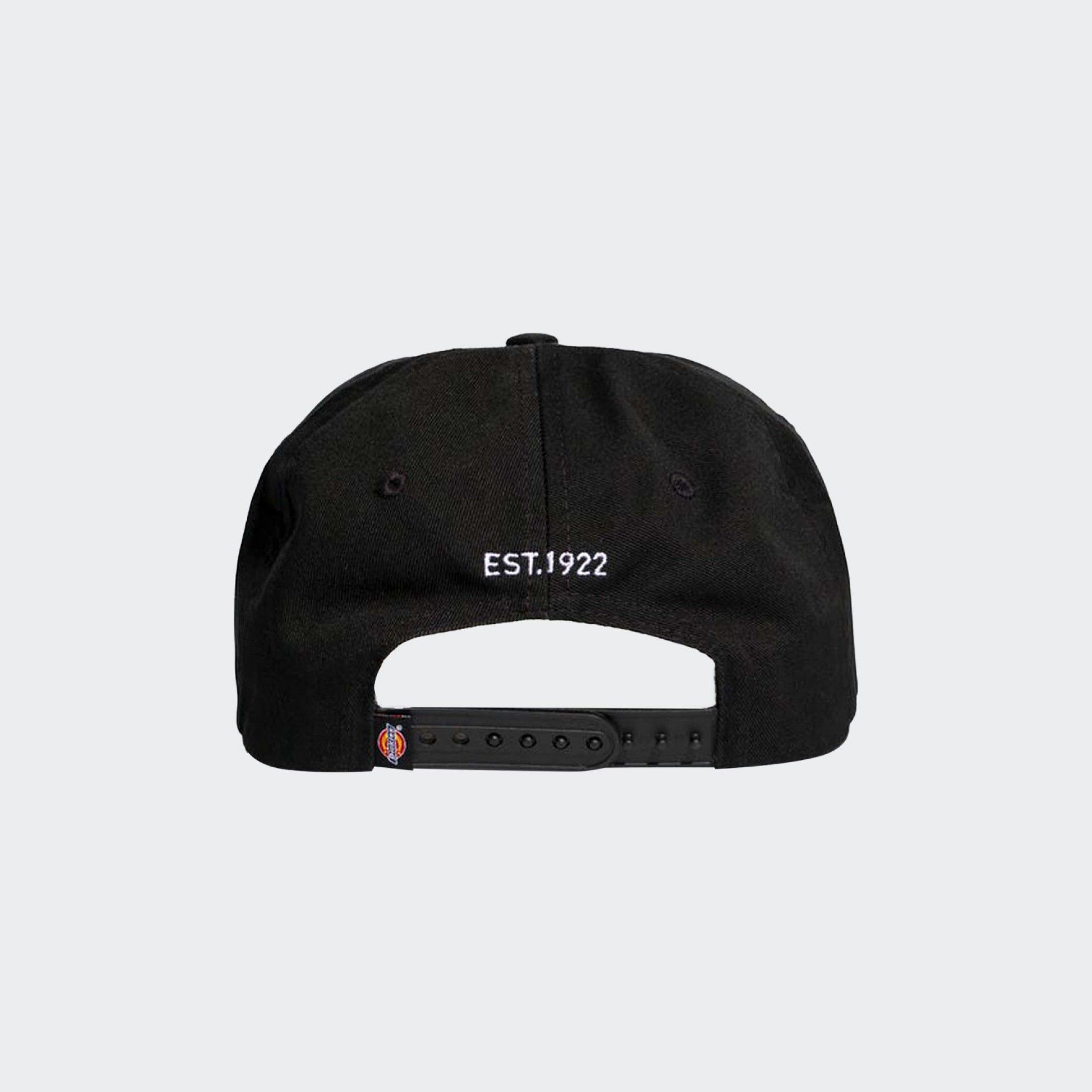 Gorra Dickies