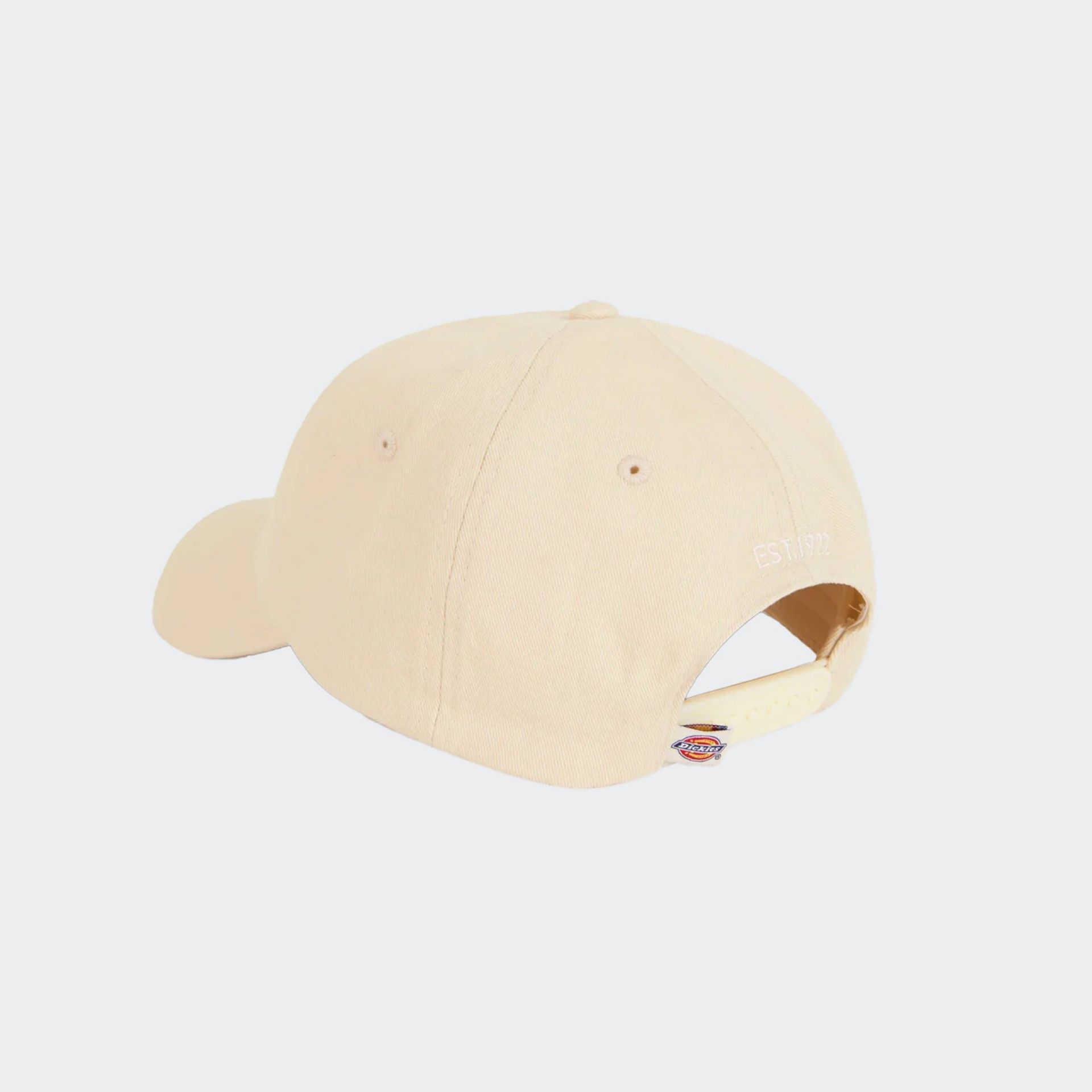 Gorra Dickies