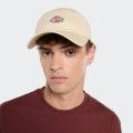 Gorra Dickies Gorra Dickies
