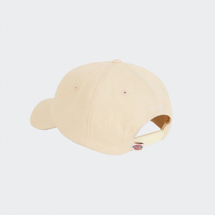 Gorra Dickies