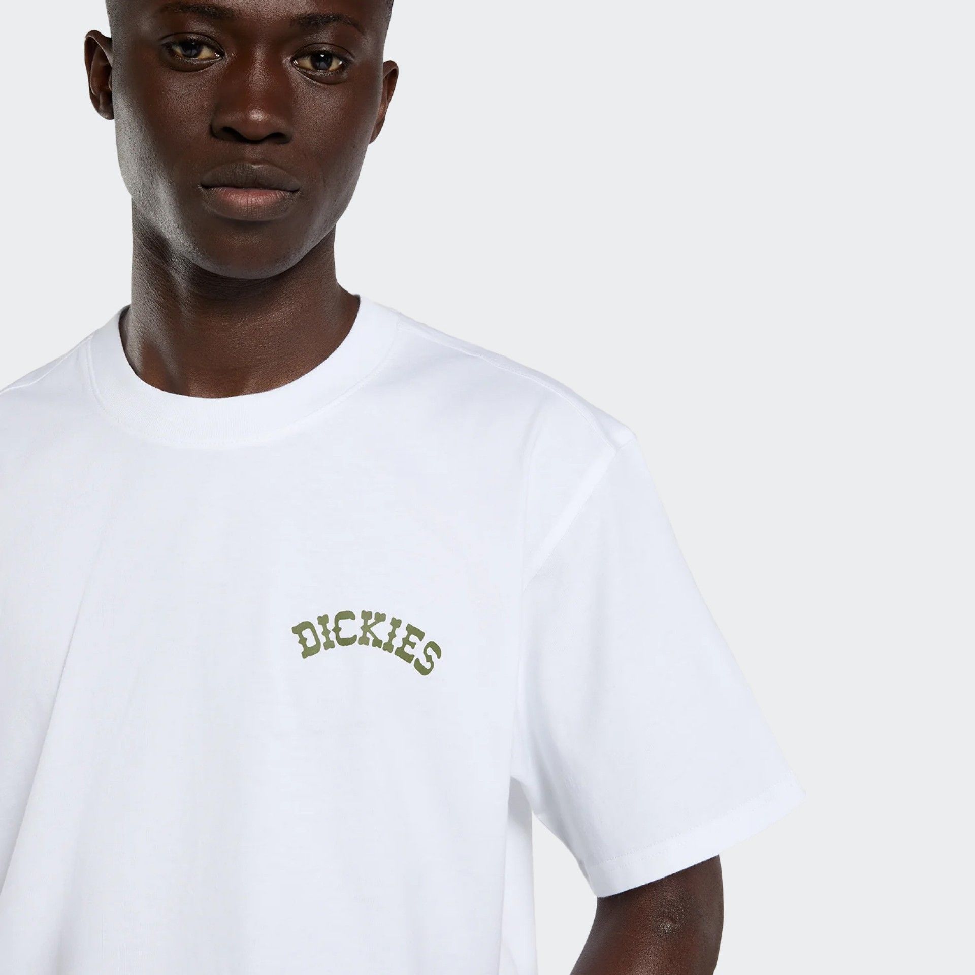 Camiseta Dickies