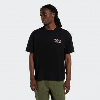 Dickies T-shirt