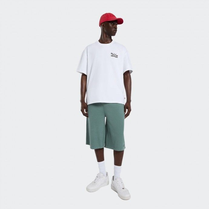 T-shirt Dickies