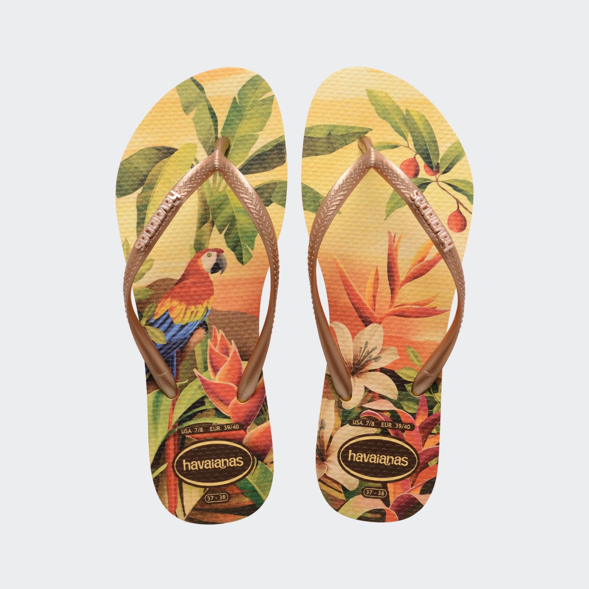 Chanclas Havaianas