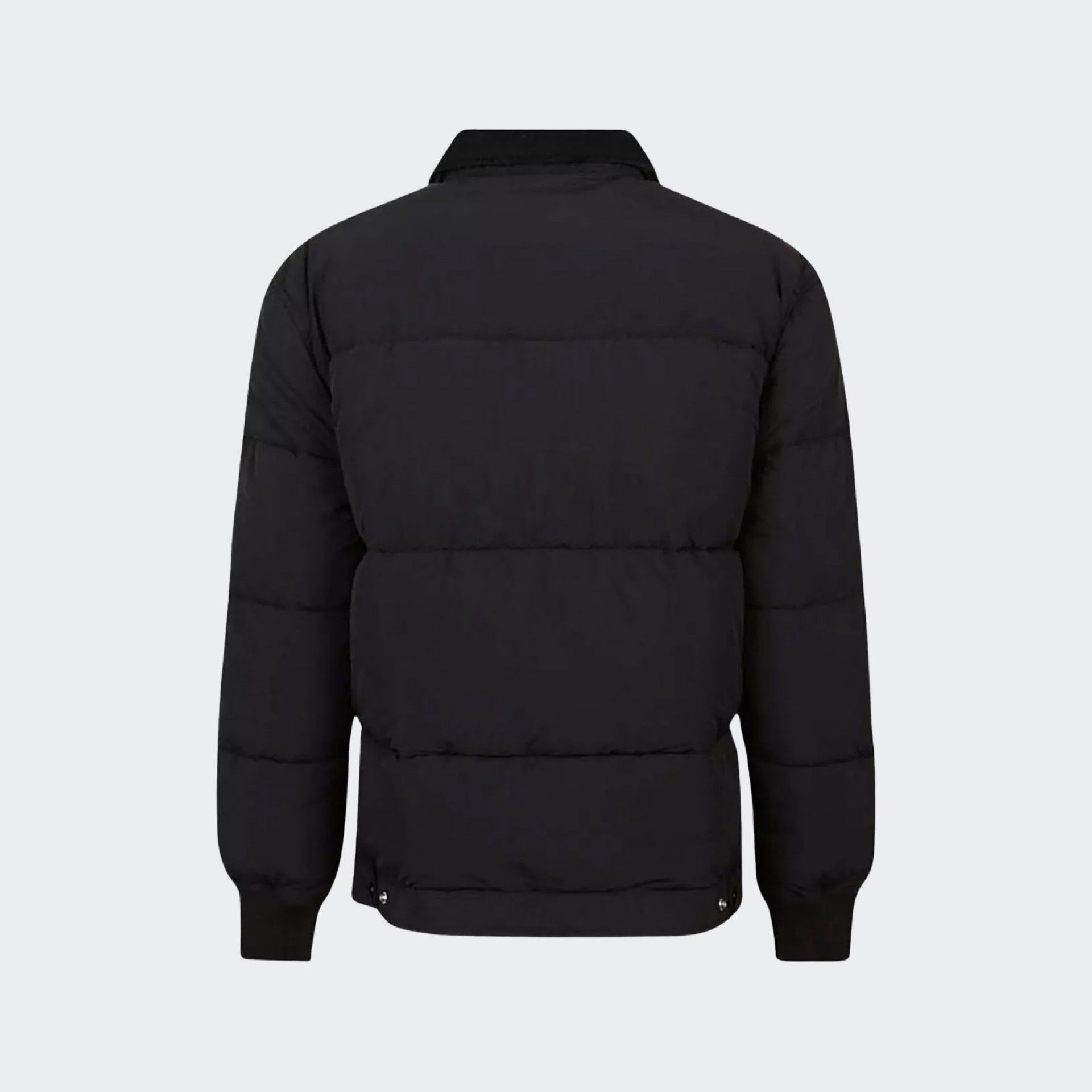 Chaqueta acolchada Dickies
