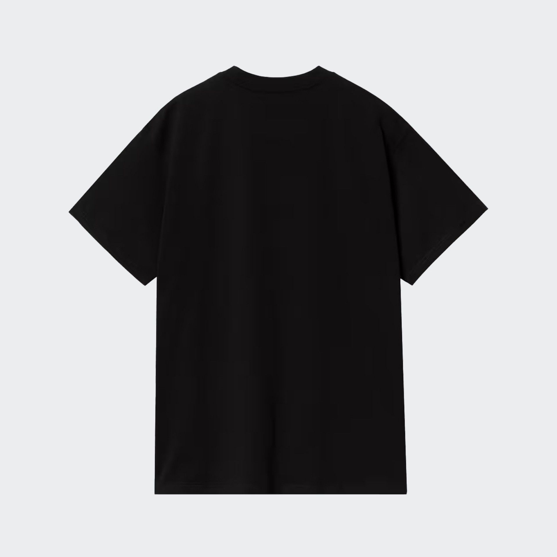 Camiseta Carhartt WIP S/S Script