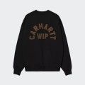 Sweatshirt Carhartt WIP Arch Script Sweatshirt Carhartt WIP Arch Script