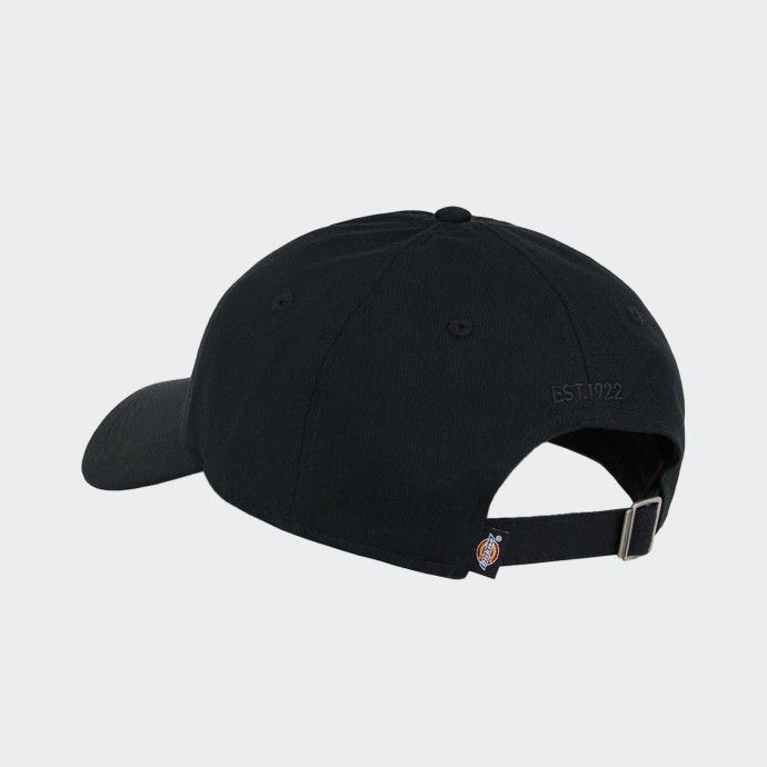 Gorra Dickies
