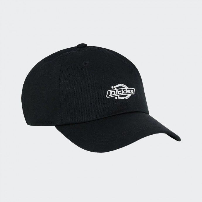 Gorra Dickies