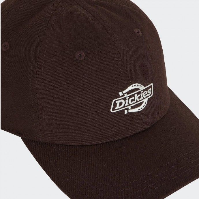 Gorra Dickies