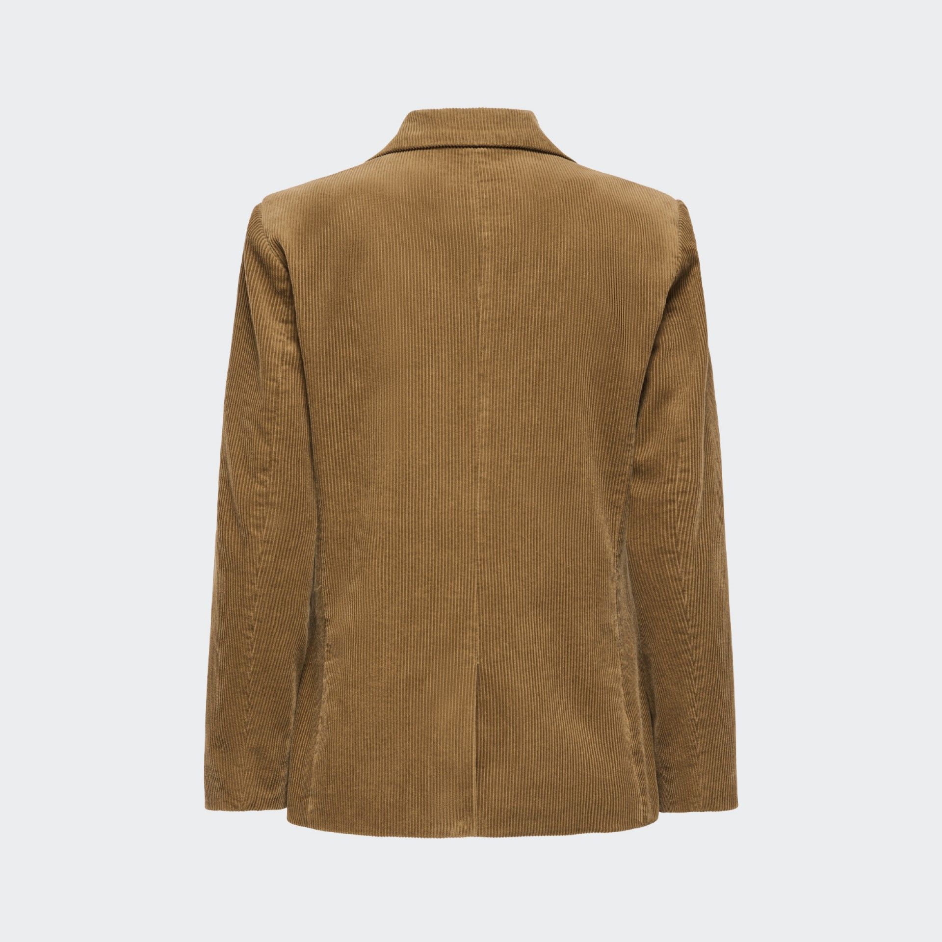 JDY Blazer