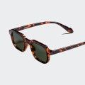 Óculos de Sol Zadok Eyewear SIZA / TORTOISE DARK GREEN Óculos de Sol Zadok Eyewear SIZA / TORTOISE DARK GREEN